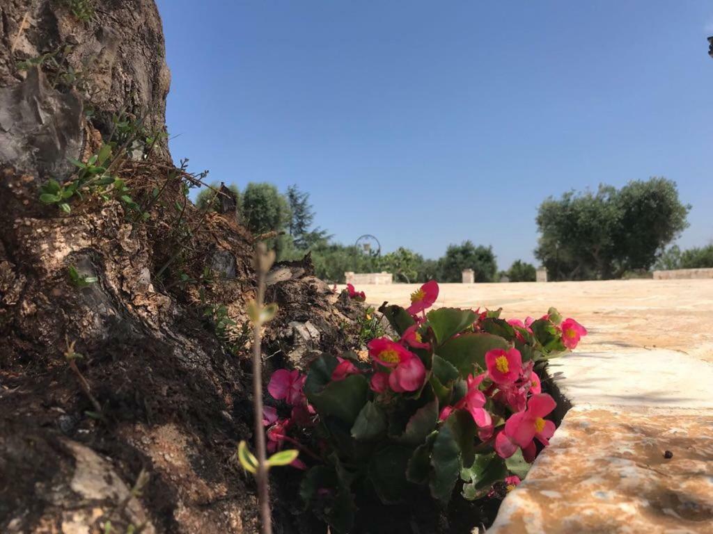 Trulli Da Lalli Ostuni Zewnętrze zdjęcie